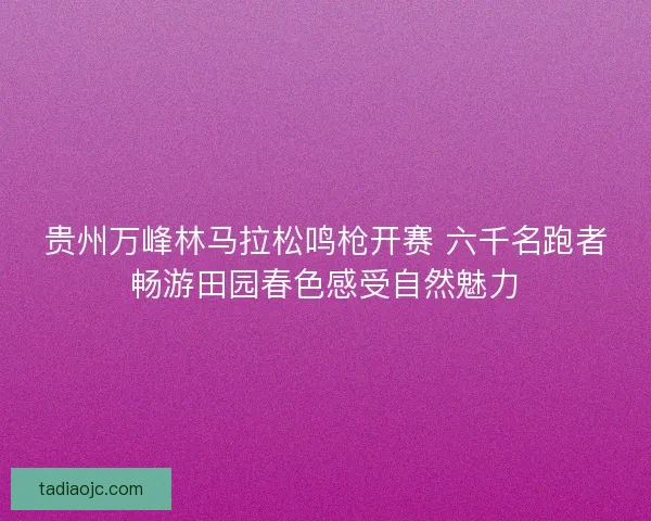贵州万峰林马拉松鸣枪开赛 六千名跑者畅游田园春色感受自然魅力