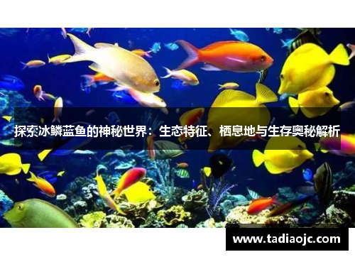 探索冰鳞蓝鱼的神秘世界：生态特征、栖息地与生存奥秘解析