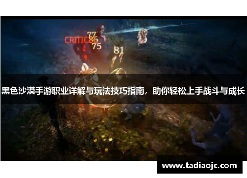 黑色沙漠手游职业详解与玩法技巧指南，助你轻松上手战斗与成长