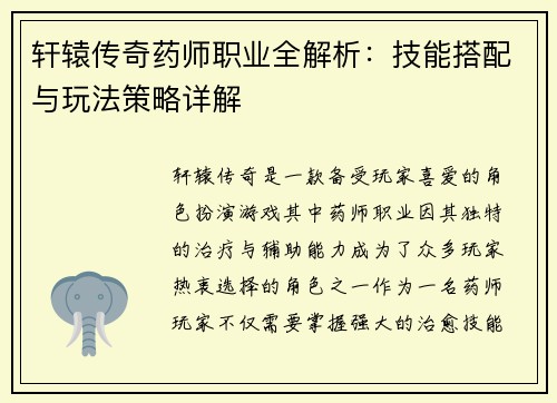 轩辕传奇药师职业全解析：技能搭配与玩法策略详解